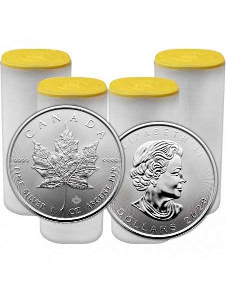 Stříbrná investiční mince Maple Leaf 1 Oz